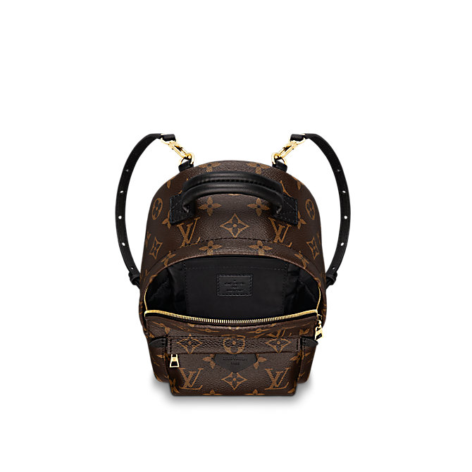 Louis Vuitton Palm Springs Mini Backpack (the perfect bag?) – Baby grl fashion